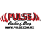 Pulse Radio