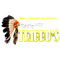 Web Rádio Tribbus