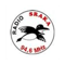 Radio Sraka