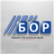 Radio Bor