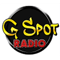 G Spot radio