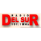 Radio Del Sur