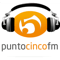 Punto 5 FM
