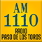 Radio Paso de los Toros