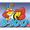 B 100