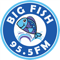 Ouvir Big Fish 95.5