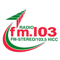 FM 103.5