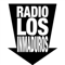 Radio Los inmaduros