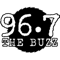 The Buzz