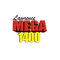 Mega 95.1 fm