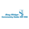 Bay Ridge Community Radio