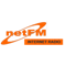 NetFM