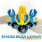 Radio Budi Luhur