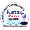 Radio Karina 98.0