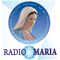 Rádio Maria Brasil