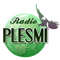 Plesmi Radio