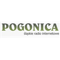 Radio Pogonica