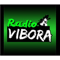 Radio Vibora