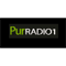 Pur Radio 1