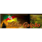Rádio Galpão