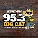 95.3 Big Cat