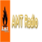 AMT Radio