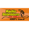 Rádio Bebedouro FM