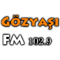 Gozyasi FM