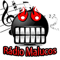 Rádio Malucos Share