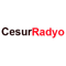 Cesur Radyo