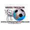 Radio Tricolor