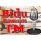 Rádio Bidu Kawasaki FM