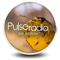 Pulse Radio