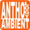 Anthology Ambient