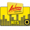 Antenne Vorarlberg Top 40