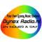 Dynex-Radio