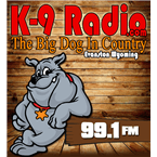99.1 KNYN THE BIG DOG