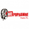 Niepoprawne Radio PL