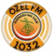 Özel FM