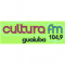 Rádio FM Cultura