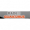 Rádio Guaicurus