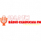 Rádio Guarucaia