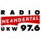 Radio Neandertal
