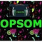 Radio OPSOM