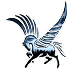 Rádio PEGAZUS METAL