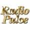 Radio Pulce