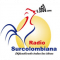 Radio Surcolombiana