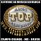 Rádio TOP Sertanejo