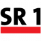 SR 1 Musiktester