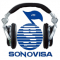 Sonovisa Producciones